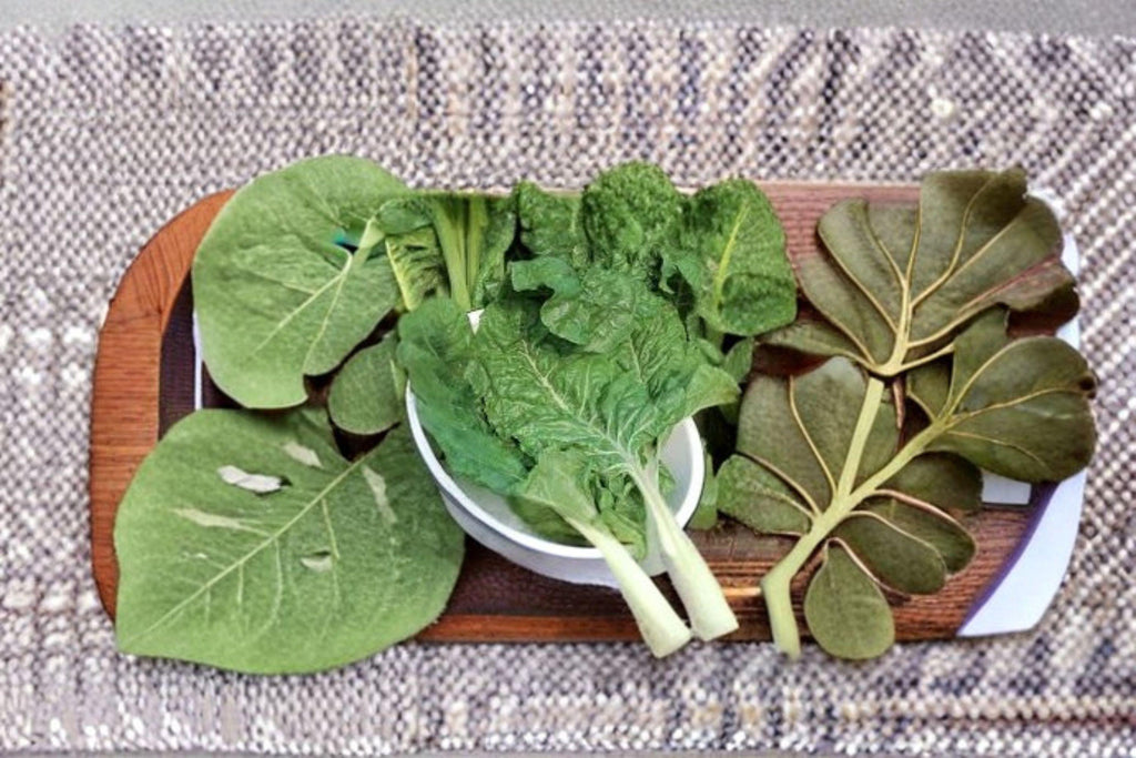 Swiss Chard – Fordhook 30 Seeds | Classic Heirloom Chard | Broad White Stems | Heat & Cold Tolerant