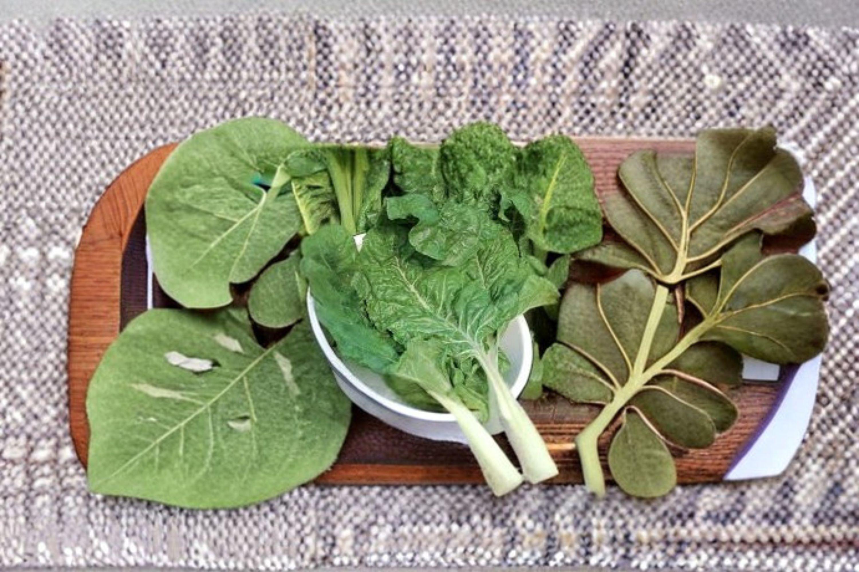 Swiss Chard – Fordhook 30 Seeds | Classic Heirloom Chard | Broad White Stems | Heat & Cold Tolerant