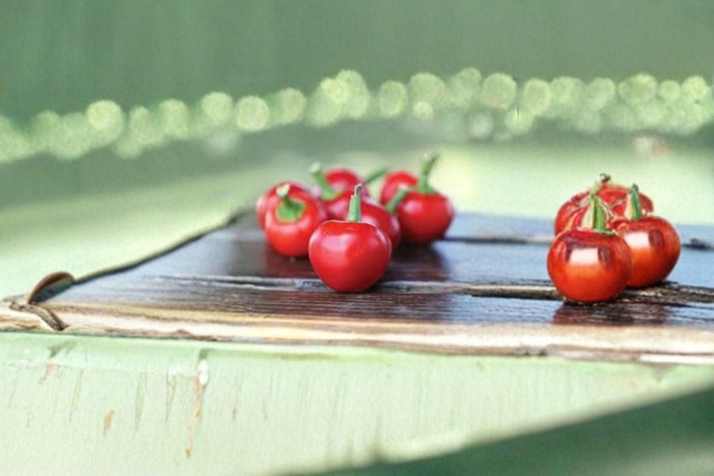 Large Cherry – Hot Pepper 30 Seeds | Round Cherry Peppers | Thick-Walled | Hot & Perfect for Pickling