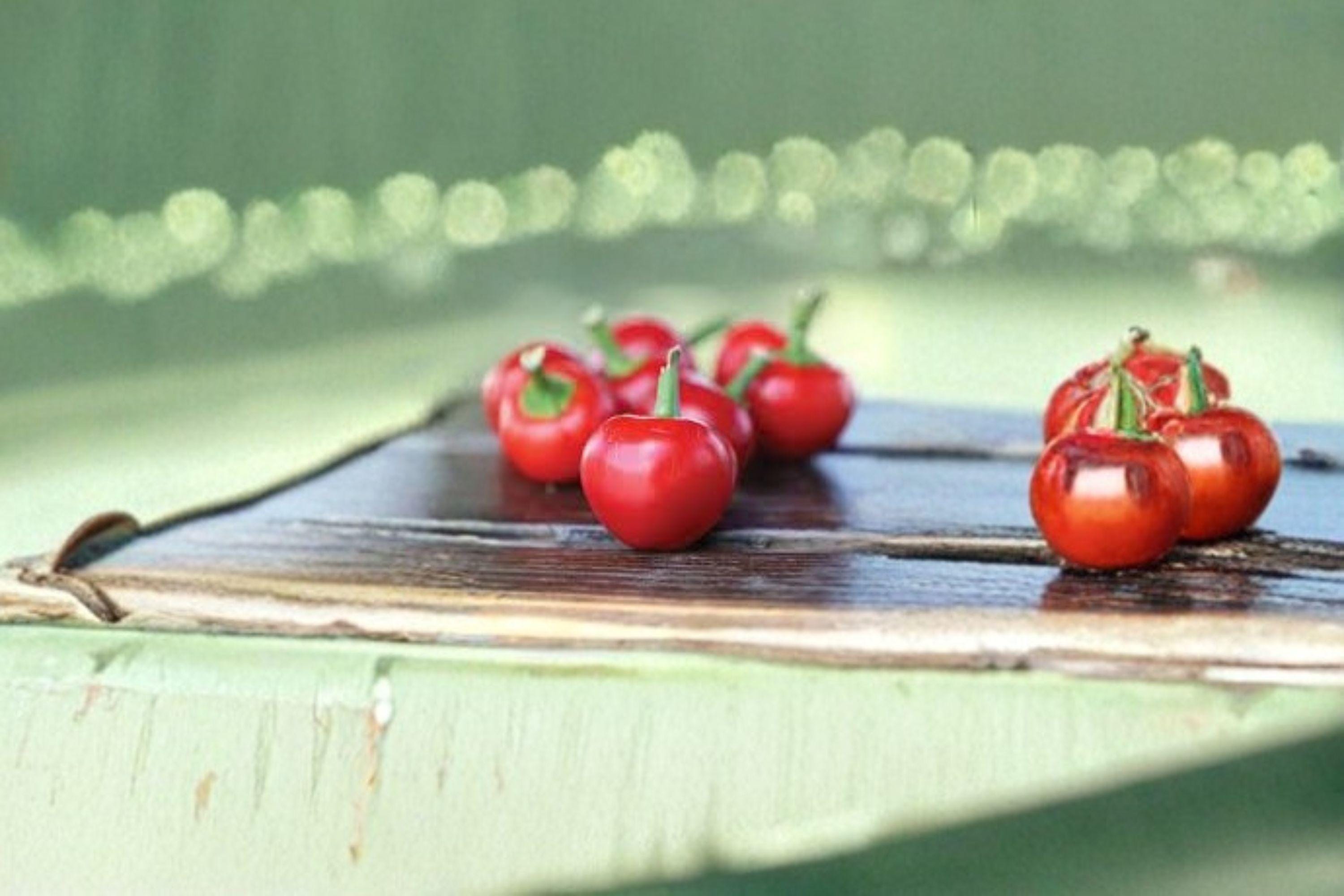 Large Cherry – Hot Pepper 30 Seeds | Round Cherry Peppers | Thick-Walled | Hot & Perfect for Pickling