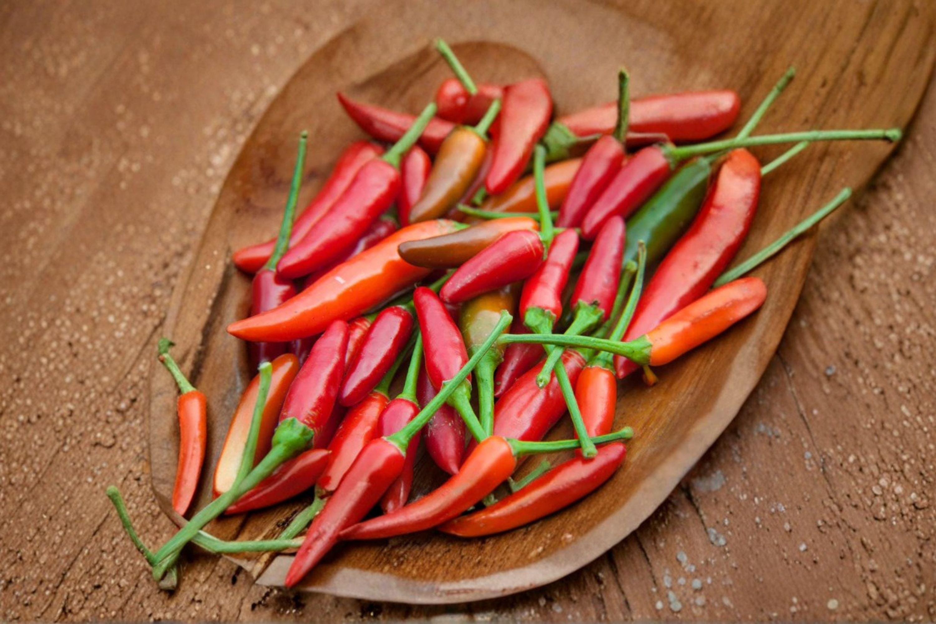 Sonora – Mild Hot Pepper 25 Seeds | Mild Heat Chili | Long Green Pods | Great for Roasting & Fresh Use