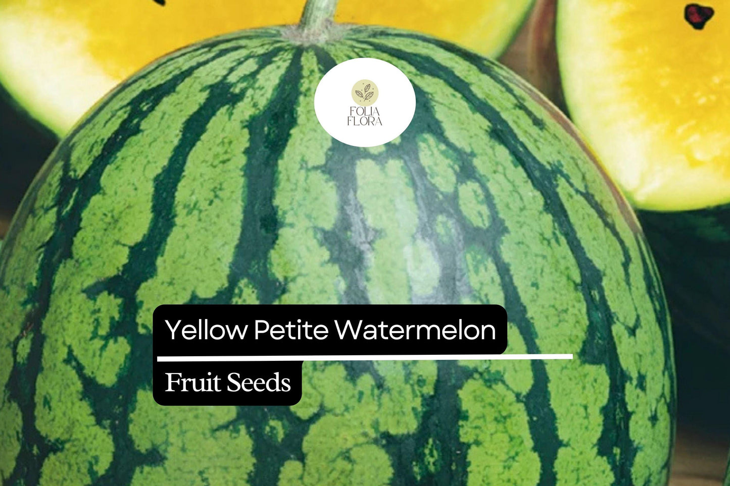 5 Seeds Yellow Petite Watermelon (Citrullus lanatus) – Sweet, Small, Yellow-Fleshed Watermelon Variety