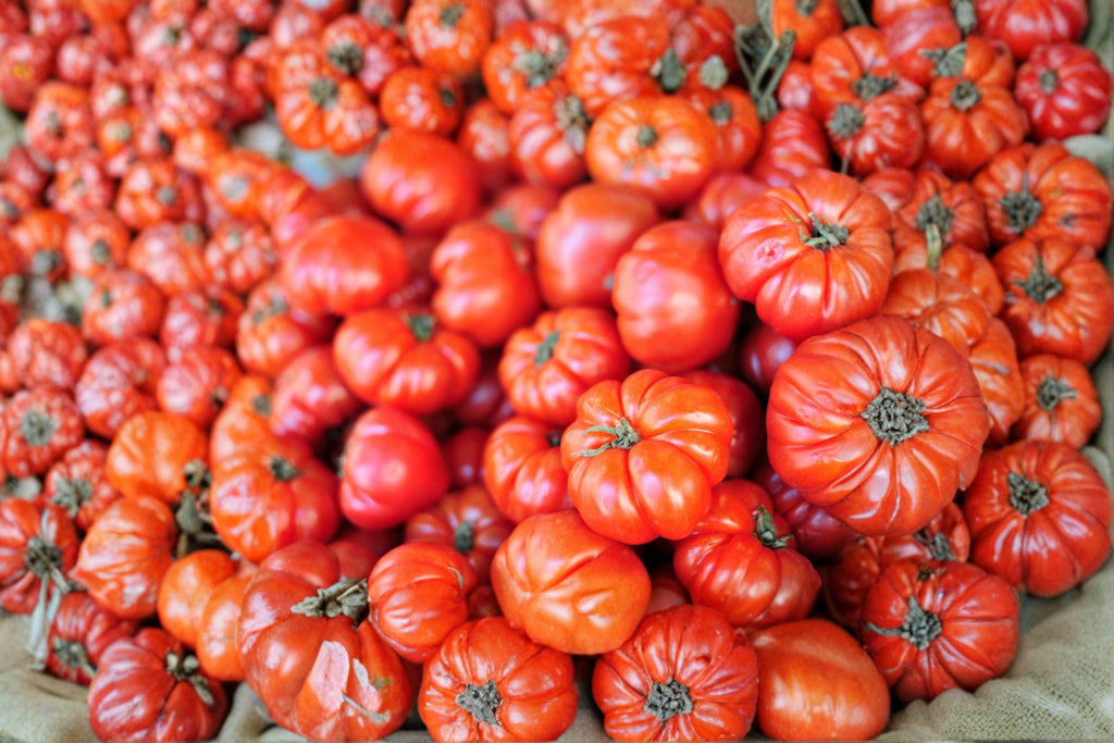 Tomato – Beefsteak 30 Seeds | Classic Beefsteak Tomato | Large Meaty Fruits | Perfect for Slicing