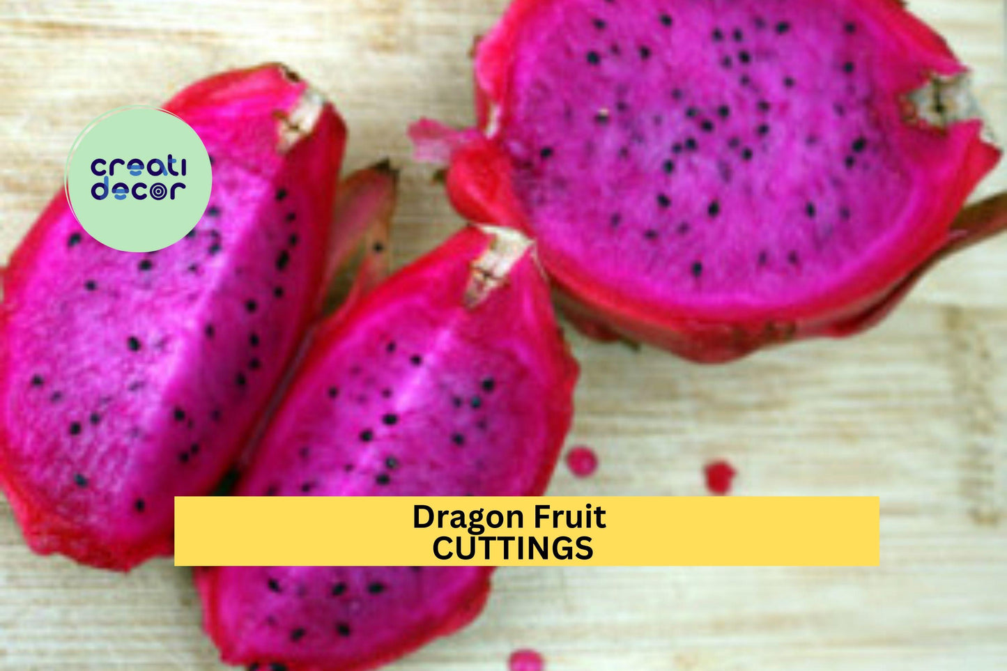 10 Unknown Dragon Fruit Cuttings – 8–14” Unrooted Stems | Hylocereus Variety for Propagation | Cactus Vines for Pots or Trellises