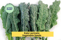 3pcs of 1g Lacinato Kale Seeds – Dinosaur Kale Variety for Garden Growing, Juicing, Cooking, or Salad Greens Seeds for Planting