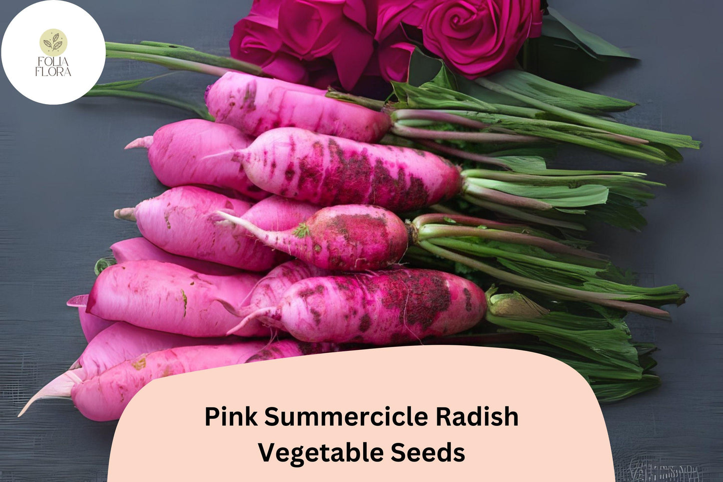 500+ Pink Summercicle Radish Seeds – Heirloom Long Pink Radish Seeds for Garden Planting