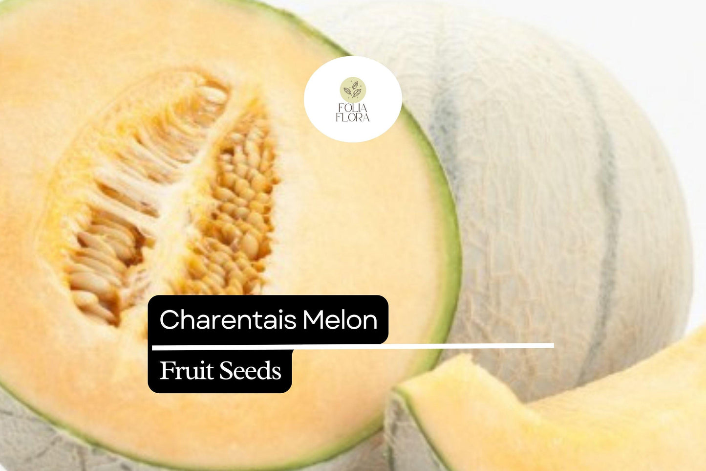 25 Seeds Charentais Melon (Cucumis melo) – French Heirloom Melon with Sweet, Fragrant Flesh