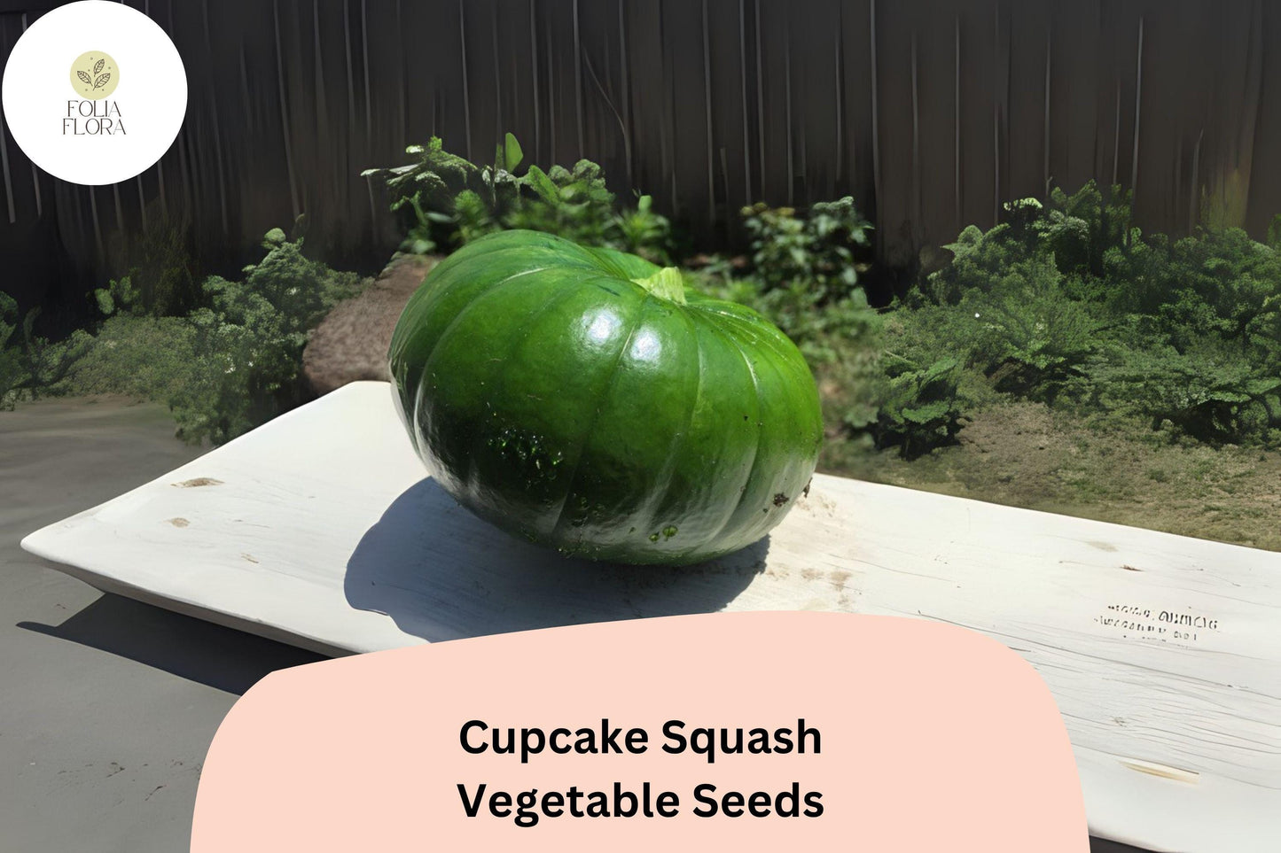 25+ Cupcake Squash Seeds for Planting | Unique Edible Patty Pan Zucchini | Easy-Grow Summer Squash for Grilling & Stuffing