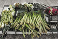 Celtuce / Asparagus Lettuce – Pointed Taiwan Sword Leaf | 200 Seeds | Unique Asian Vegetable Garden Seed