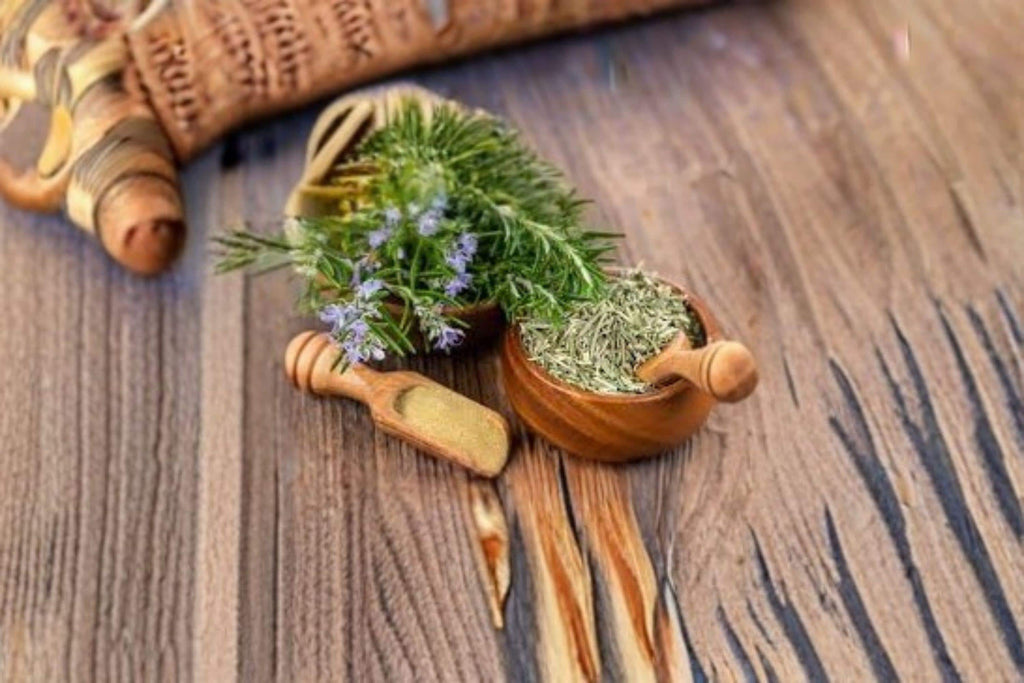 Rosemary – Herb 50 Seeds | Classic Culinary Herb | Evergreen Perennial | Fragrant & Hardy