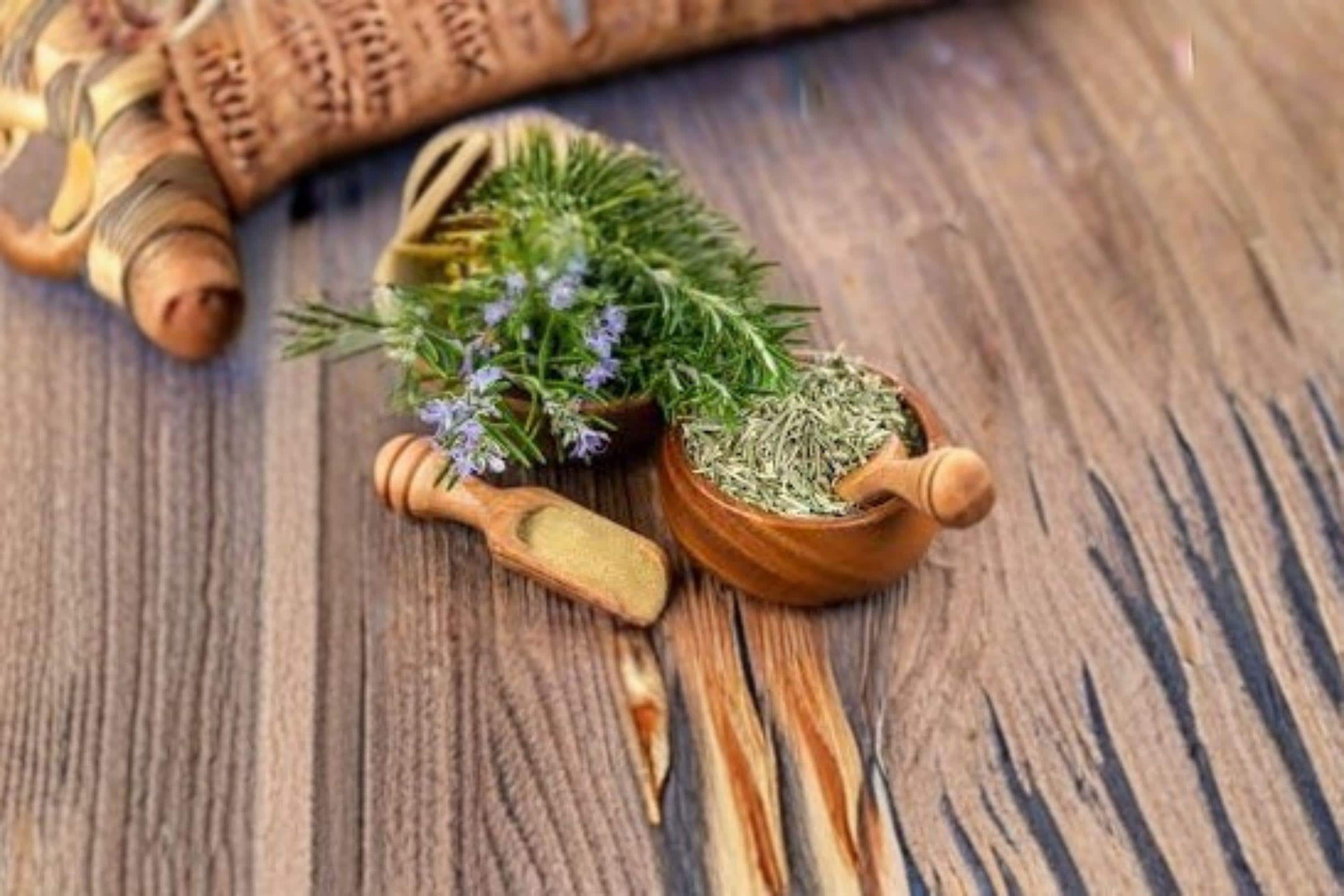 Rosemary – Herb 50 Seeds | Classic Culinary Herb | Evergreen Perennial | Fragrant & Hardy