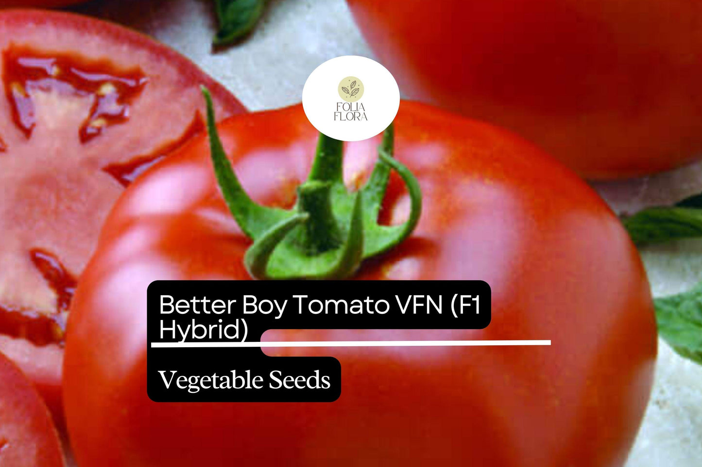 10 Seeds Better Boy Tomato VFN, Solanum Lycopersicum, High-Yield Hybrid Variety