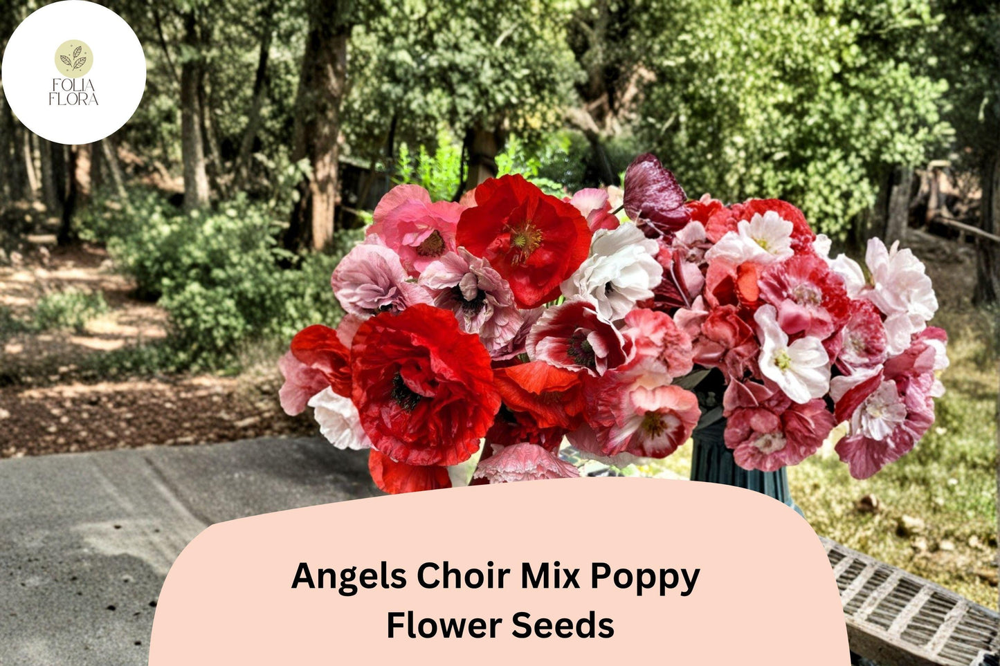 200+ Angels Choir Mix Poppy Seeds | Papaver | Vibrant Garden Blooms | Easy-to-Grow Annual Flower Seeds for Beds & Pots
