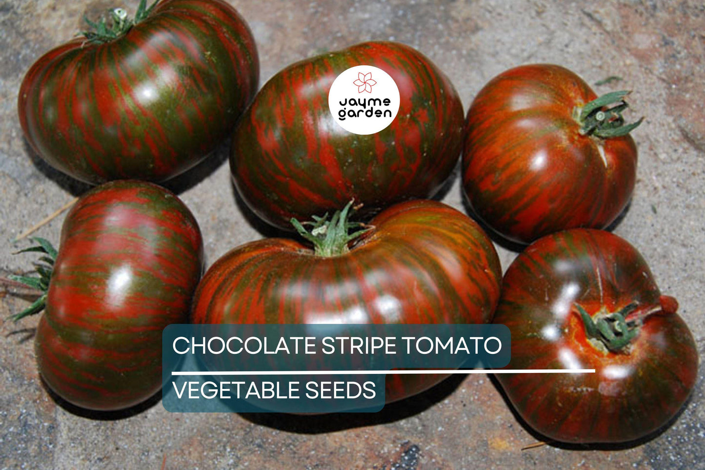 30+ Chocolate Stripes Tomato Seeds - Heirloom - Organic - Non-GMO - Rare Bicolor - Sweet & Earthy Flavor - Long Season Variety