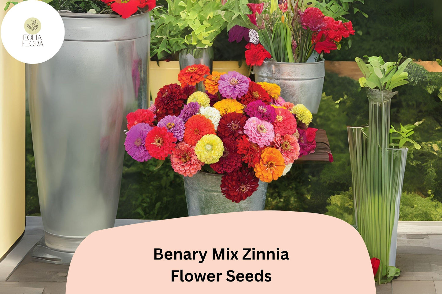 100+ Benary Mix Zinnia Seeds – Large Double Blooms for Cut Flower Gardens & Summer Planting