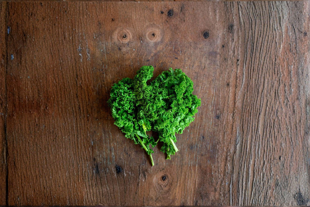 Kale – Dwarf Blue Curled Scotch 350 Seeds | Heirloom Kale | Cold-Hardy | Compact Plants with Curled Leaves