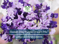 15 Seeds Sweet Pea 'Purple Dream Mix' Fragrant Climbing Vine Flowers Non-GMO - Lathyrus Odoratus, Beautiful Garden Plants, Easy to Grow