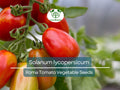 100 mg Roma Tomato Seeds - Solanum lycopersicum | Heirloom Paste Tomato for Planting, Gardening and Cooking | Ideal for Sauces & Canning