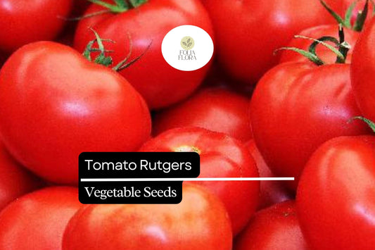 100mg Tomato Rutgers Seeds Solanum lycopersicum | Heirloom Variety, Non-GMO, Ideal for Canning & Fresh Use