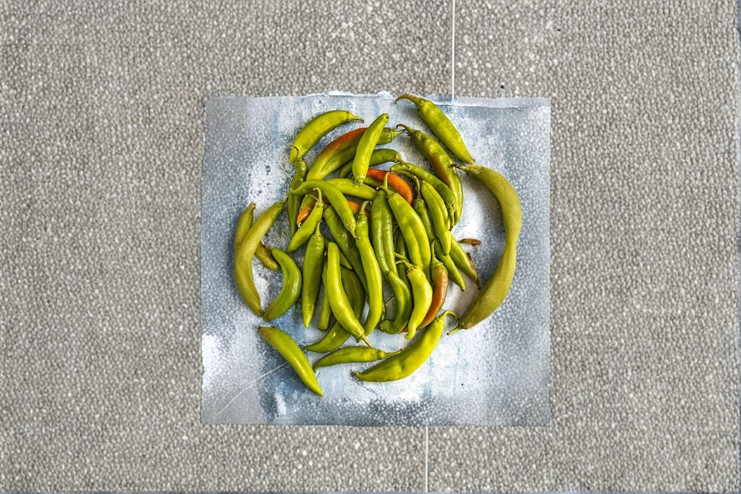 Hatch Giuzeppi – Hot Pepper 25 Seeds | Hatch-Type Chili | Medium–Hot Heat | Classic New Mexico Flavor