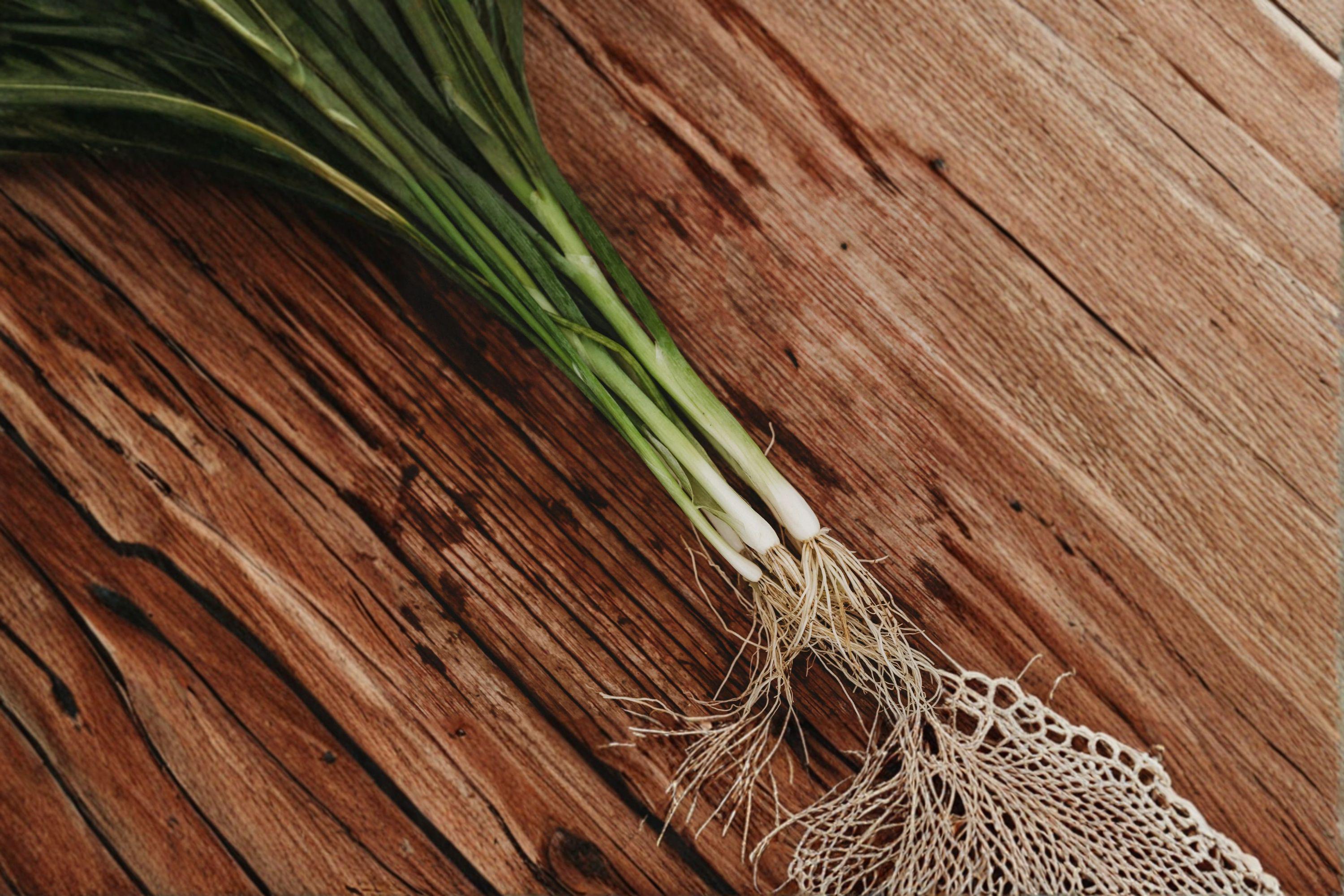 Onion – Tokyo Long (Bunching) 250 Seeds | Japanese Green Onion | Non-Bulbing | Mild & Fast Growing