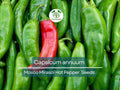 250 mg of Mosco Mirasol Chile Seeds - Pueblo Guajillo Hot Pepper | Capsicum annuum | Heirloom Pepper Seeds for Planting & Cooking