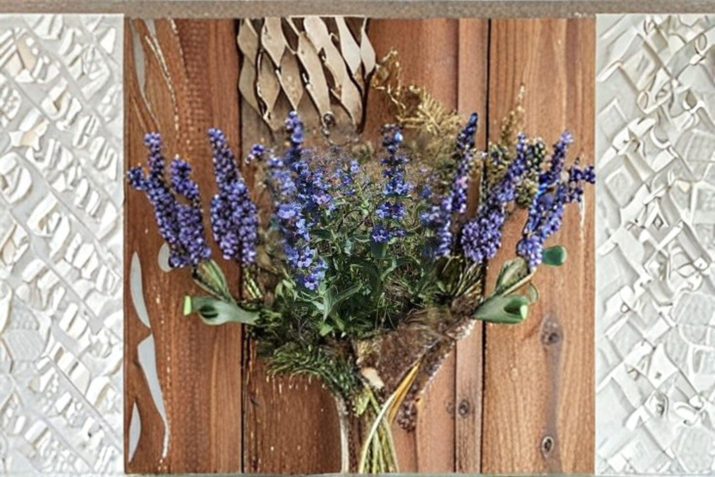 Penstemon acuminatus – Sand Penstemon 50 Seeds | Native Desert Wildflower | Pale Lavender Blooms | Drought-Tolerant Perennial