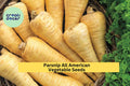 3pcs of 1g Parsnip All American Seeds – Heirloom Root Vegetable for Roasting, Soups & Cool Season Home Gardens Seeds for Planting