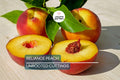 3 Reliance Peach Fruit Tree Scion Cuttings 10-12" Non-Rooted for Grafting or Rooting