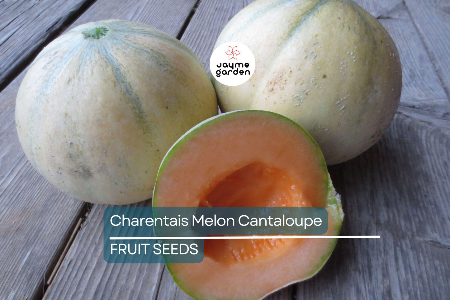 10 Charentais Melon Seeds - Heirloom French Cantaloupe - Organic - Non-GMO - Sweet & Fragrant - Rare Garden Fruit