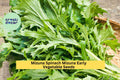 3pcs of 500mg Mizuna Early Spinach Seeds – Fast-Growing Mild Greens, Ideal for Salads, Stir-Fry, and Cool Season Planting Seeds for Planting