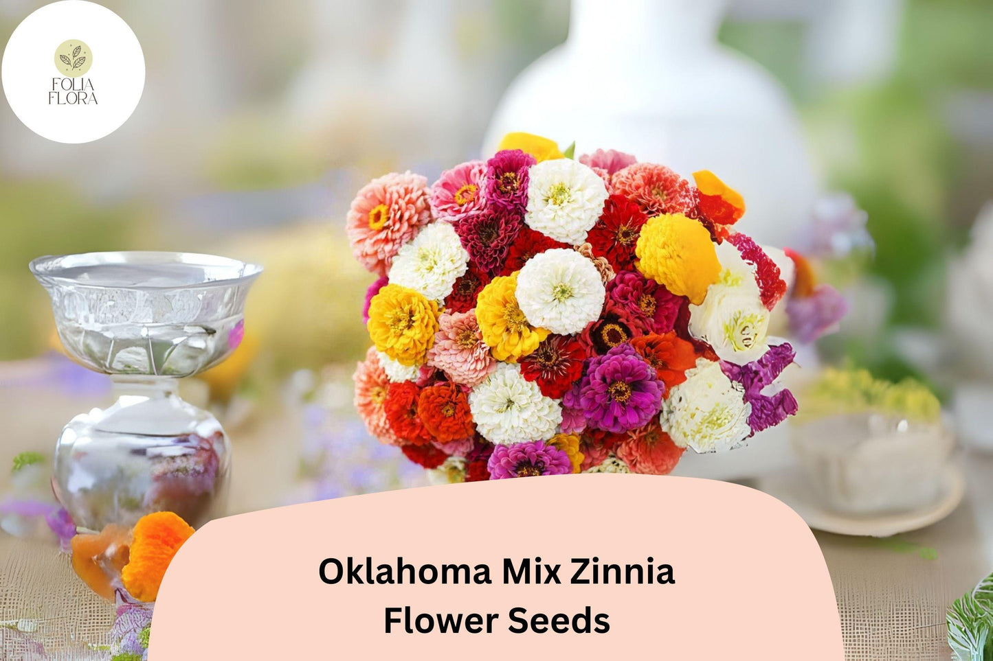 100+ Oklahoma Mix Zinnia Seeds – Long-Lasting Blooms for Bouquets, Borders & Summer Gardens