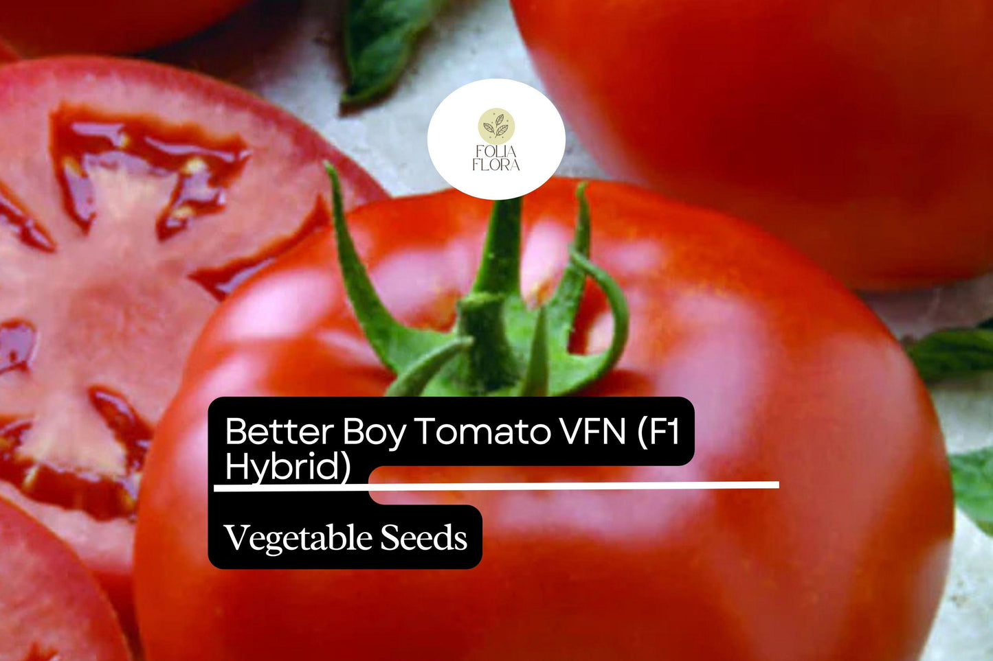 10 Seeds Better Boy Tomato VFN, Solanum Lycopersicum, High-Yield Hybrid Variety