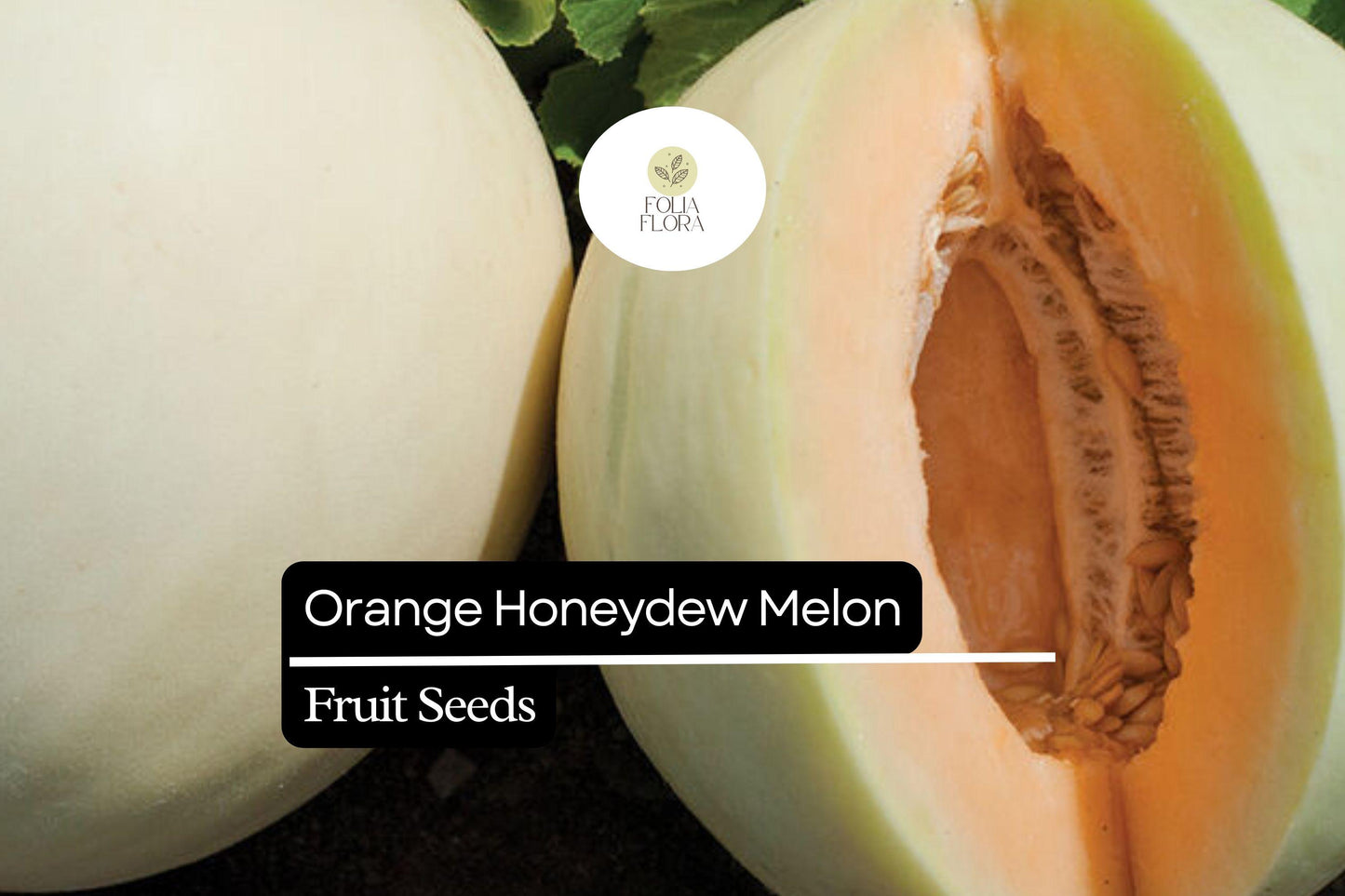 50 Seeds Orange Honeydew Melon, Cucumis Melo, Sweet Juicy Orange-Fleshed Melon
