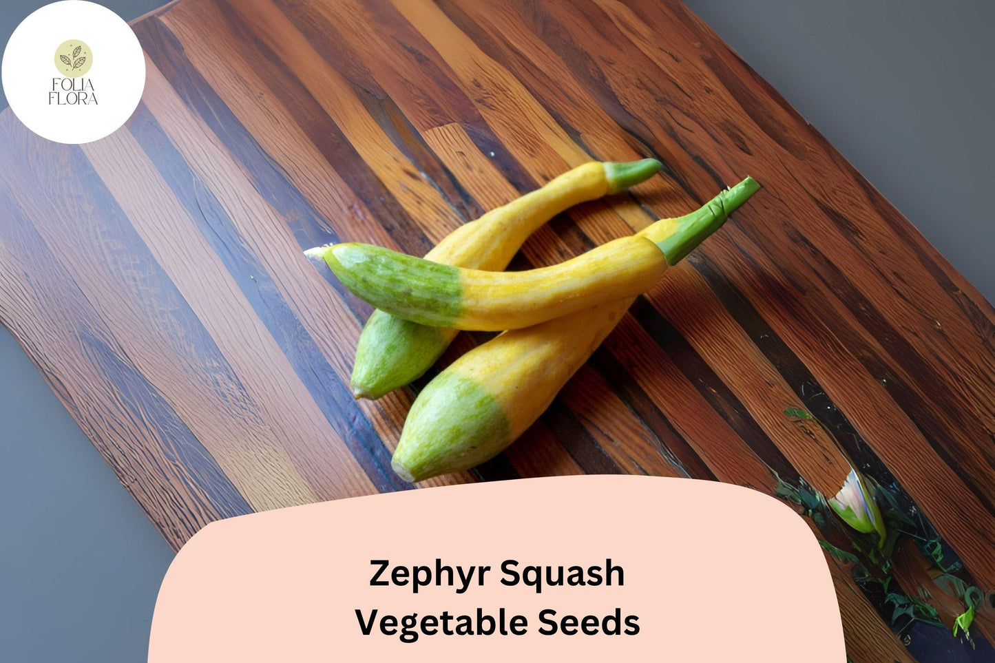 25+ Zephyr Squash Seeds for Planting | Unique Yellow Green Summer Squash | Heirloom Vegetable Garden Seeds
