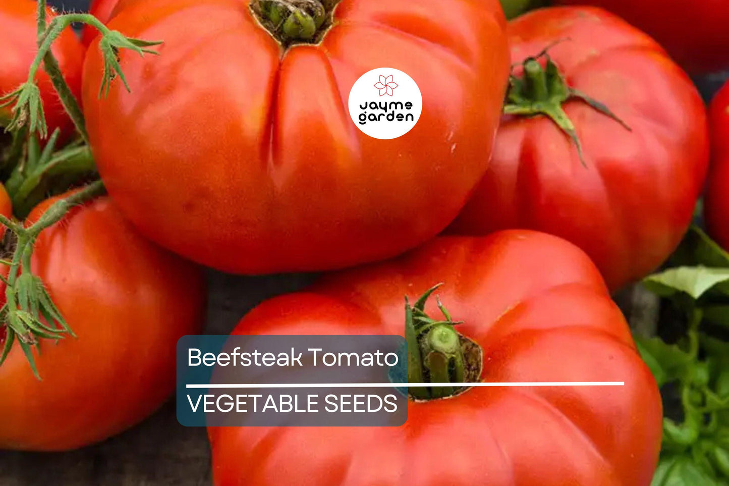 Beefsteak Tomato Seeds - Heirloom, Non-GMO, Slicing, 50 Seeds, Large Juicy Fruit, Full Sun, Zones 3-11, Free Shipping