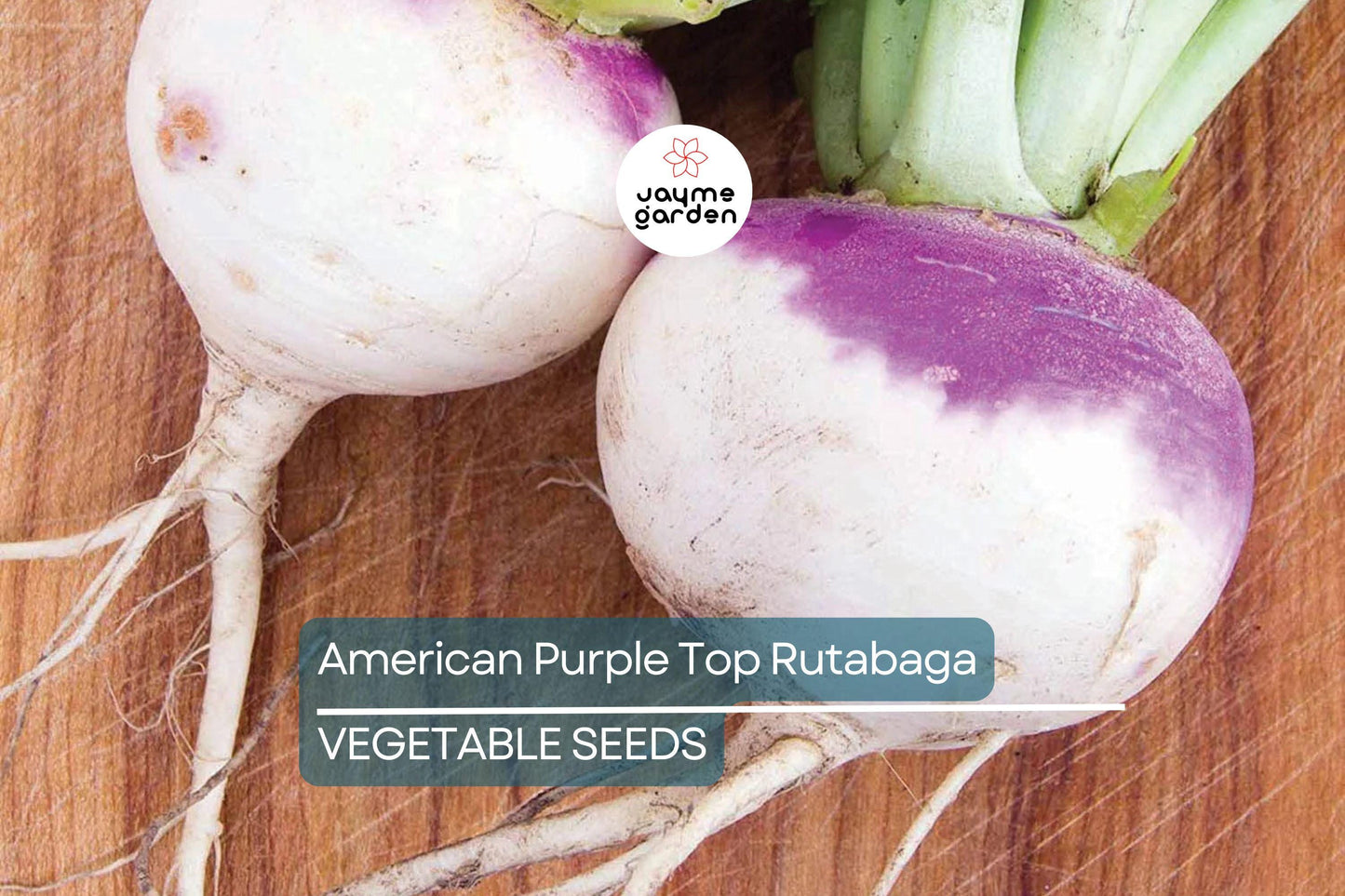 1000 American Purple Top Rutabaga Seeds – Heirloom, Non-GMO, Cold-Hardy Root Vegetable