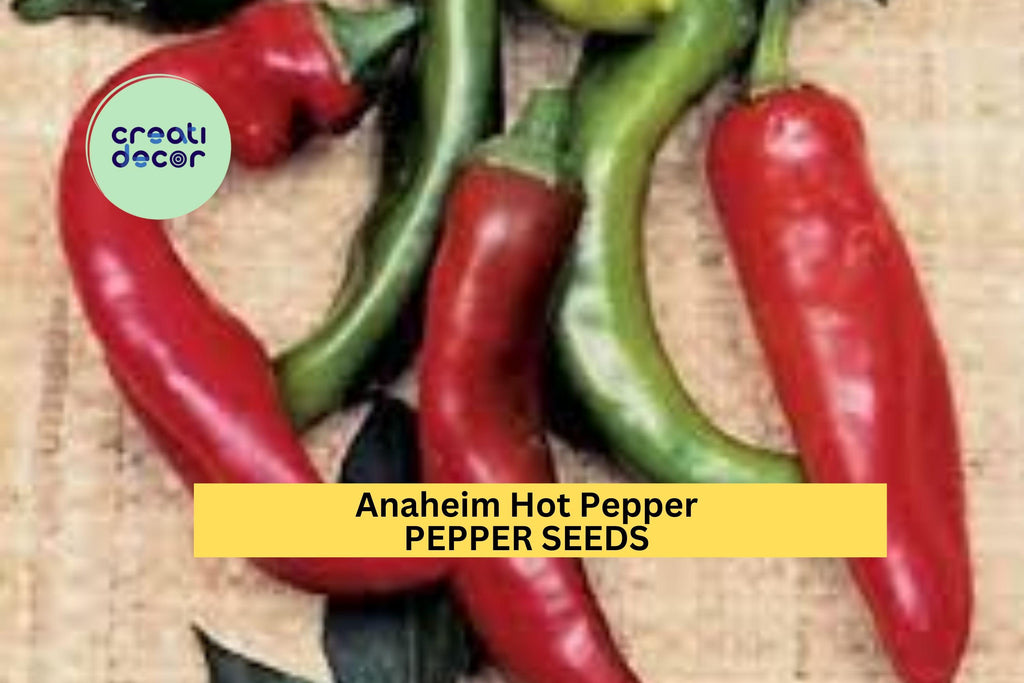 3pcs of 300mg Anaheim Hot Pepper Seeds – Mild Chili Peppers for Roasting, Salsa, and Home Vegetable Garden Growing Seeds for Planting