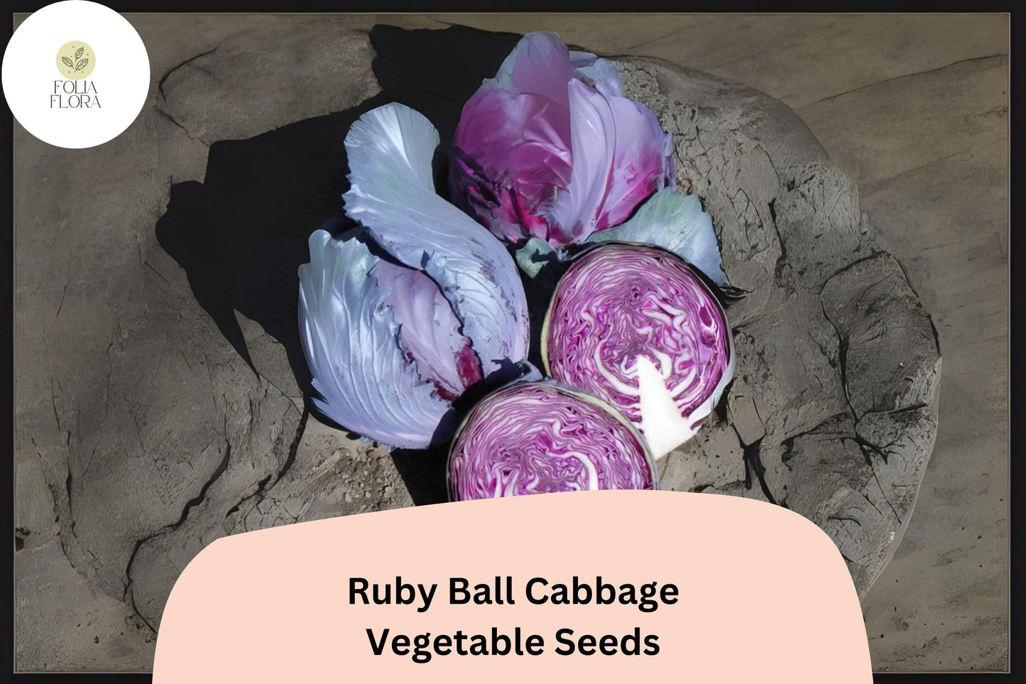 500+ Ruby Ball Cabbage Seeds | Heirloom Red Garden Vegetable | Brassica oleracea | Bulk Seeds for Planting