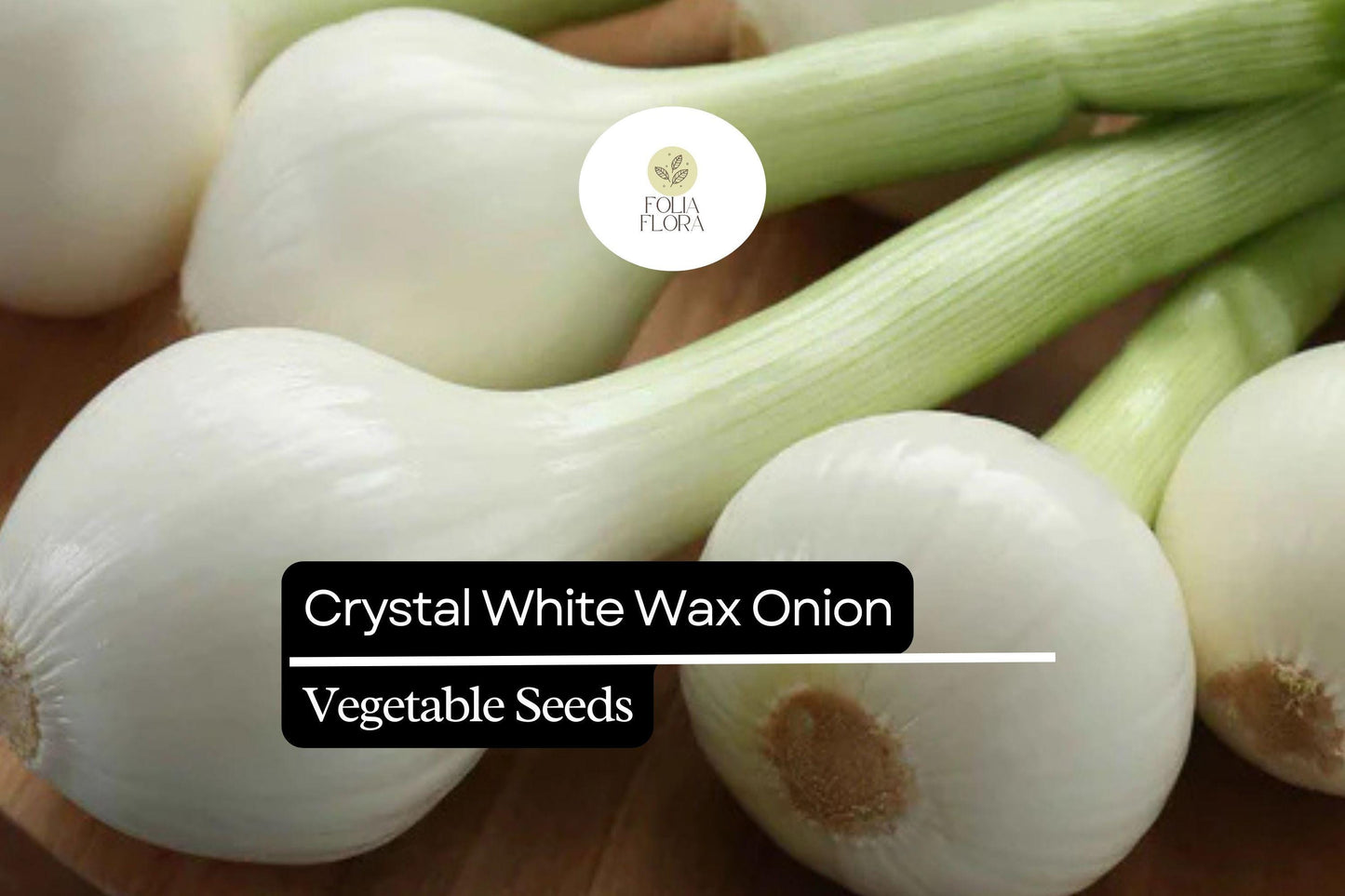 200 Seeds Crystal White Wax Onion, Allium Cepa, Mild & Sweet Pearl Onion Variety