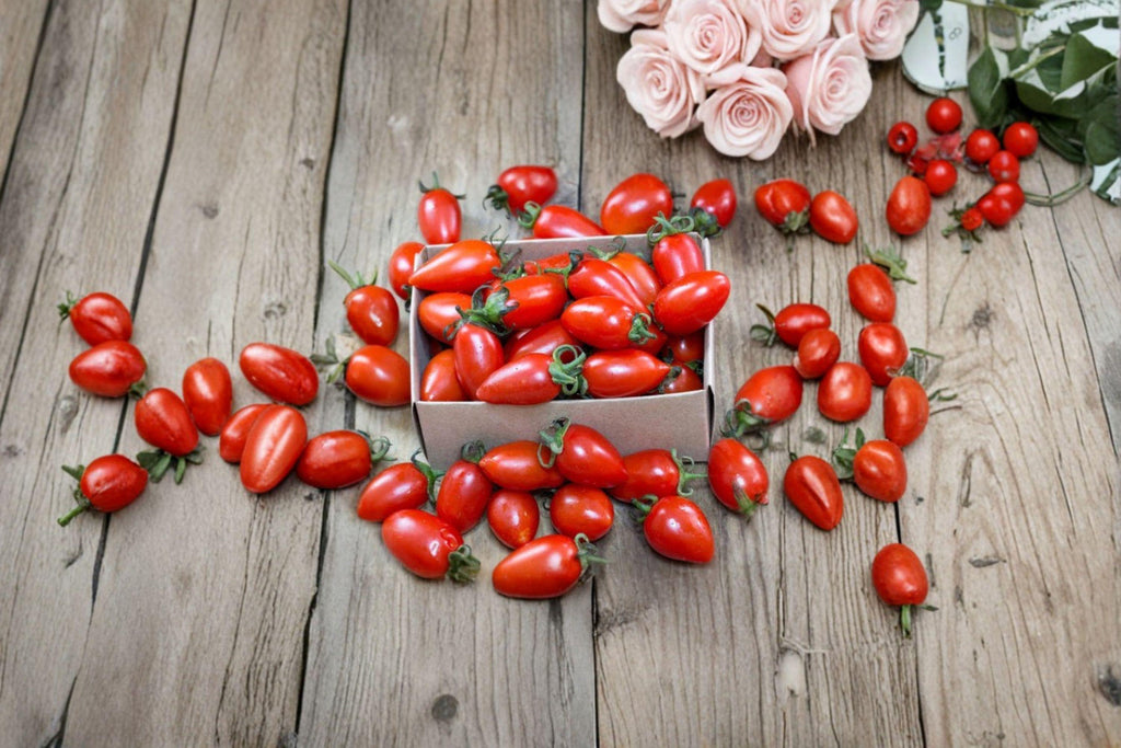 Tomato – San Marzano (Indeterminate) 30 Seeds | Authentic Italian Paste Tomato | Rich Flavor | Ideal for Sauce & Canning