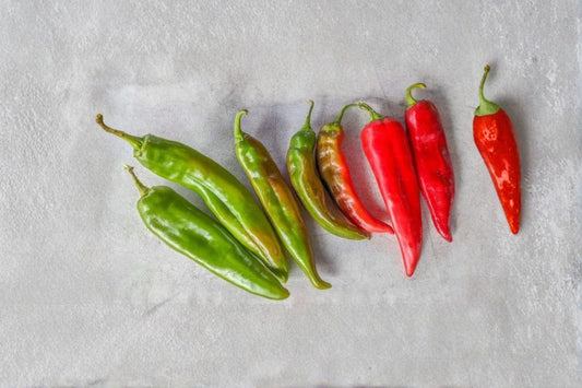 Pepper – Hot Hatch Big Jim Chili 30 Seeds | Famous New Mexico Chile | Extra-Large Pods | Mild–Medium Heat