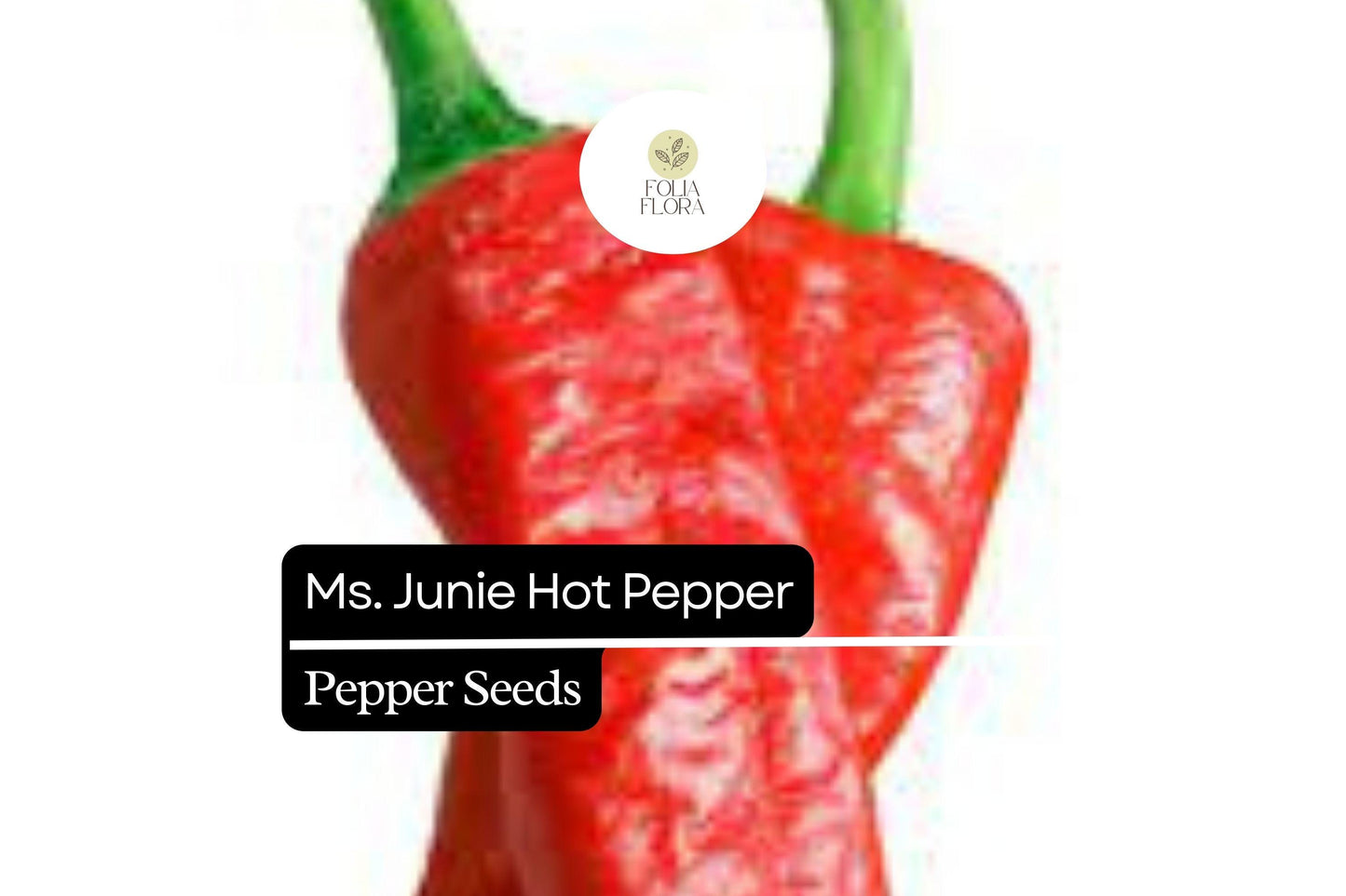 25 Hatch Ms. Junie Pepper Seeds – Capsicum annuum – Mild & Flavorful, High-Yielding, Perfect for Roasting