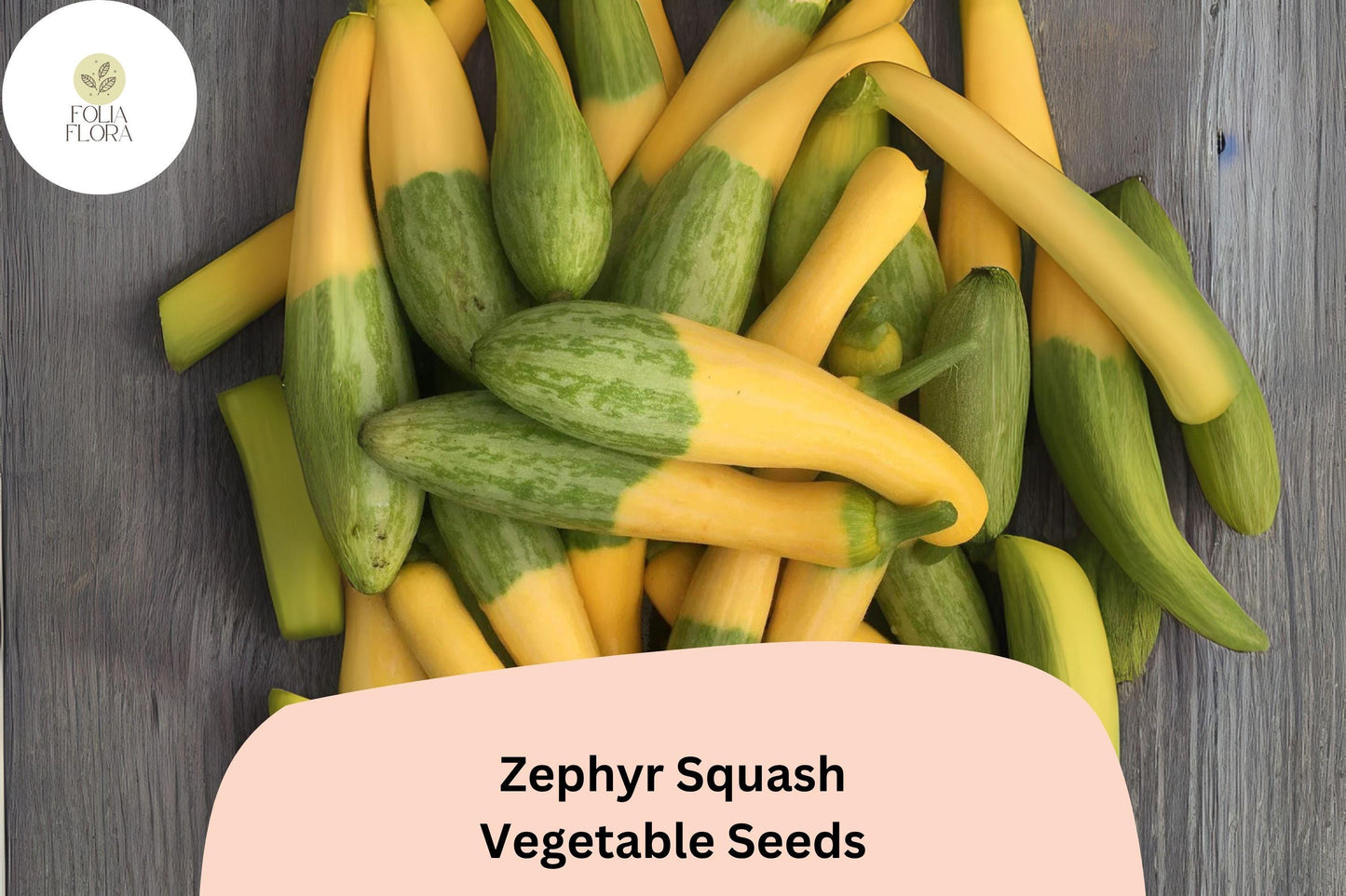 25+ Zephyr Squash Seeds for Planting | Unique Yellow Green Summer Squash | Heirloom Vegetable Garden Seeds