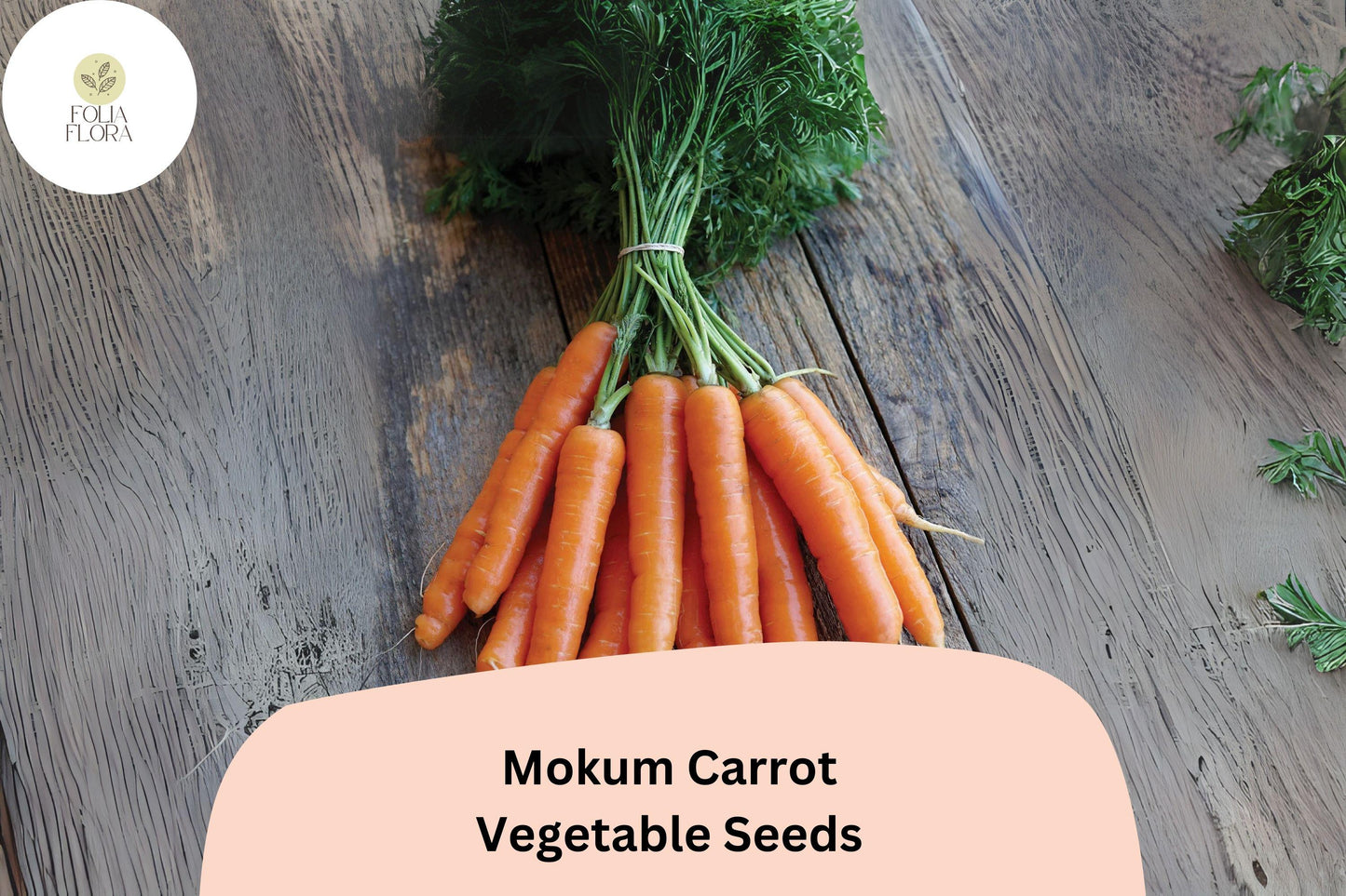 1000+ Mokum Carrot Seeds – Sweet, Crisp, Early Maturing Hybrid Carrots