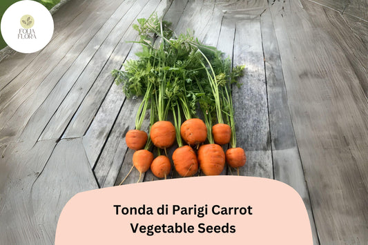 1000+ Tonda di Parigi Carrot Seeds – Heirloom, Round Baby Carrots