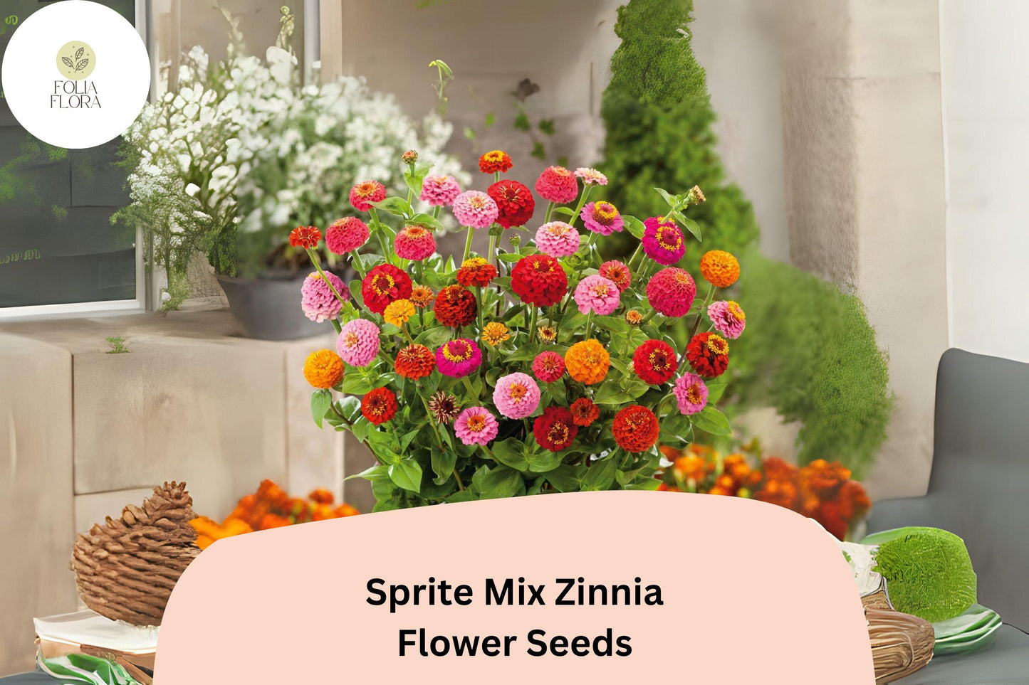 Sprite Mix Zinnia Seeds: Dwarf Variety, Colorful Garden Flowers