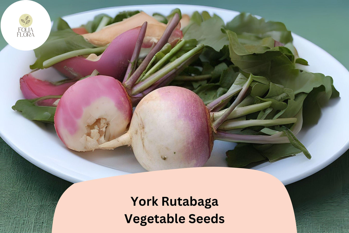 500+ York Rutabaga Seeds – Heirloom Root Vegetable Seeds for Garden Planting