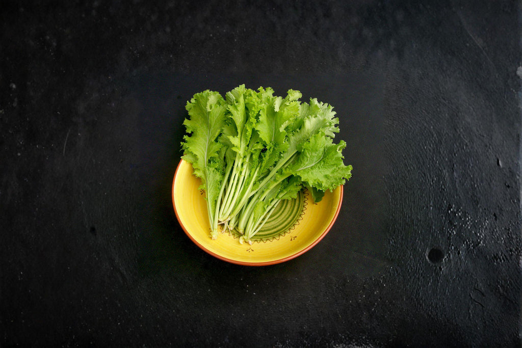 Mustard – Southern Giant Curled 500 Seeds | Heirloom Mustard Green | Large Curled Leaves | Bold Southern Flavor
