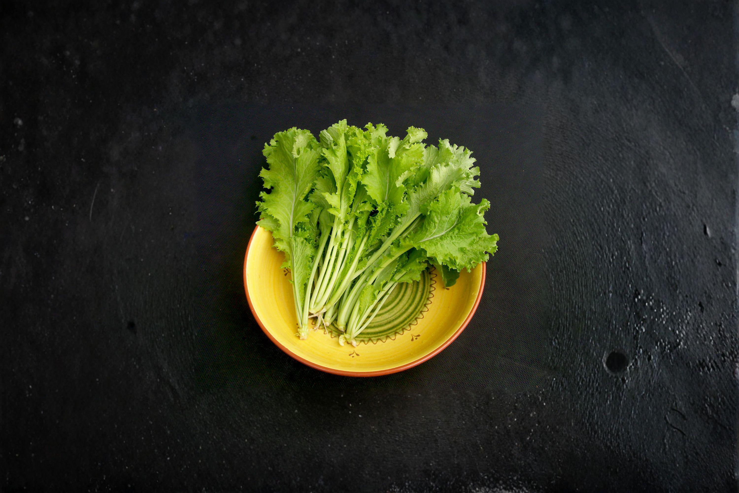 Mustard – Southern Giant Curled 500 Seeds | Heirloom Mustard Green | Large Curled Leaves | Bold Southern Flavor